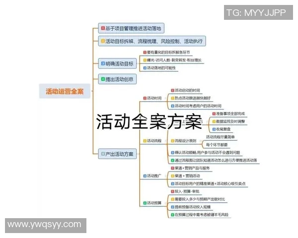 营销策划的王牌秘笈：创意全攻略