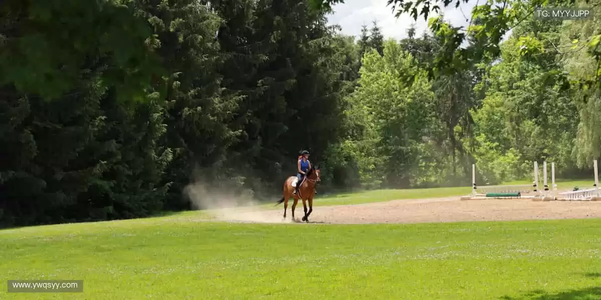 🏀 巅峰之战，不容错过！全球赛事同步直播，零时差感受速度与激情！